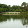 日本庭園6