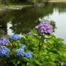 日本庭園8
