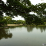 日本庭園9
