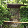 日本庭園10