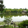 日本庭園11
