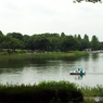 深緑の昭和記念公園7
