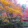 foliage season