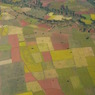 colorful field in Burma