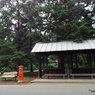 深緑の昭和記念公園19
