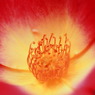 IMG_1215