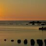 Wet sand of August
