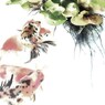 Summer of Japonica
