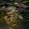 COLORFUL WORLD