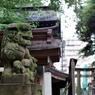 狛犬_大國魂神社