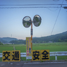 おもたい朝の散歩１４