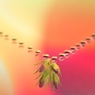 花の首飾り 