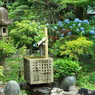 日本庭園1