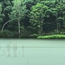 雨に煙る