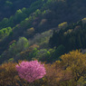 山形県小玉川小中学校