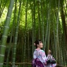 竹林