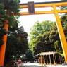 氷川神社大鳥居