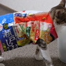 何味？