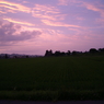 とある田舎の夕暮れ