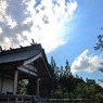 茹だる炎天下