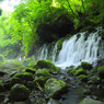 Beautiful green...