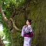 北鎌倉