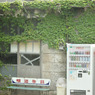 teri-tori (09)