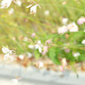 teri-tori (14)