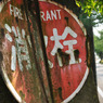 teri-tori (16)