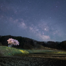 桜星景～小沢の桜