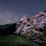 桜星景～駒つなぎの桜