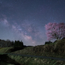 野平の一本桜と天の川