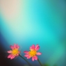 もうひとりの私