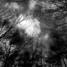 冬の空