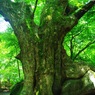 岩を掴む3