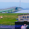関西国際空港～スカイゲートブリッジ～