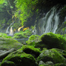 Cool green...