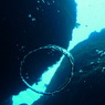 2010年夏 沖縄・渡嘉敷島