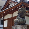 狛犬_目黒大鳥神社