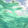 ～海から空へ～