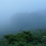 霧ヶ峰の霧