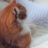 ちょっと今忙しいの