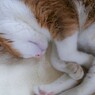 仕事をし過ぎて疲れた！