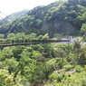 鬼怒川温泉　楯岩大吊橋全景