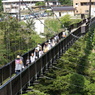 吊橋を歩く人