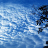 空