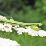 ストレッチ中ですが、何か、、、