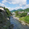 郡上　吉田川②