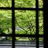 見えますか？ 私たち元気です。