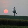 夕日